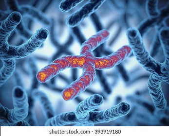chromosomes 3d illustration