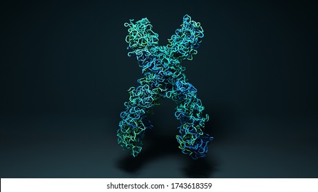 Chromosomes,  X chromosomes in the cell 3d illustration