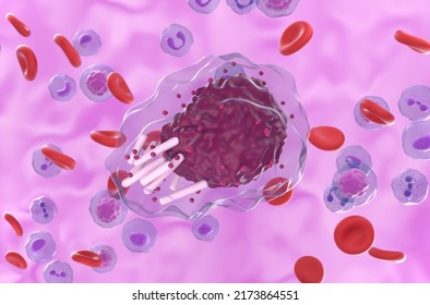 Chronic Lymphocytic Leukemia (CLL) Cell In Blood Flow - Closeup View 3d Illustration