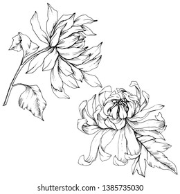 flower tattoo illustration