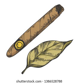 Cigar And Tobacco Leaf Color Sketch Engraving Raster Illustration. Scratch Board Style Imitation. Black And White Hand Drawn Image.