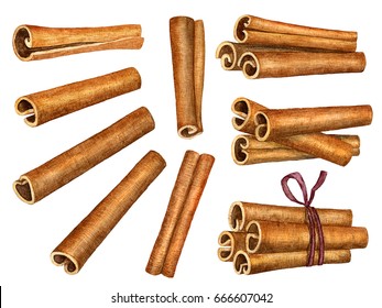 Cinnamon Sticks Isolated On White Background. Watercolor Illustration