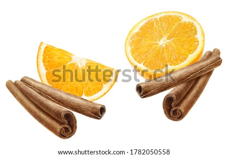 Cinnamon sticks and orange fruit slices watercolor illustration isolated on white background