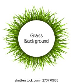 Circle Frame Green Grass Floral Nature Stock Vector (Royalty Free ...