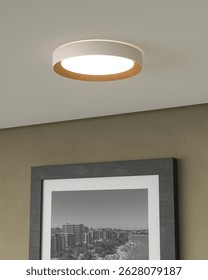 Circular Flush Mount Ceiling Light with Wood Detail in 3D render.3d illlustration