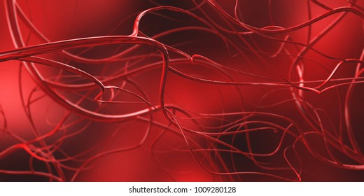 circulatory system, arteries
3D rendering