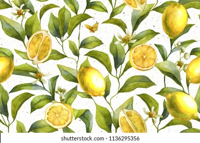 Citrus Fruits. Lemon Background. Floral Wallpaper.