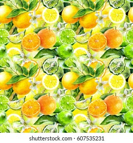 Citrus Fruits Seamless Pattern. Orange, Lemon, Lime, Bergamot Fruit Hand Draw Watercolor Illustration.