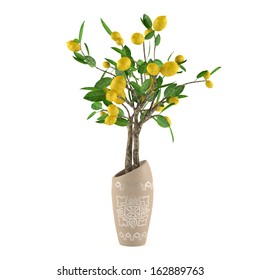 Citrus Lime Tree In The Vase