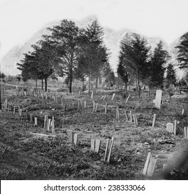 The Civil War, graves of Confederate soldiers in Hollywood Cemetery, with board markers, Richmond, Virginia, photograph, 1865.