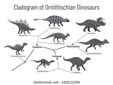 Cladogram Of Ornithischian Dinosaurs. Monochrome Illustration Of Diagram Showing Relations Among Ornithischia: Thyreophora, Ornithopods, Marginocephalia. Dinosaurs On White Background.