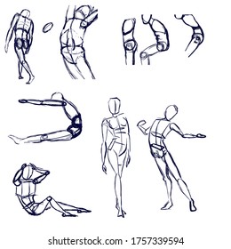 Classic Drawing Rotation Bodies Stock Illustration 1757339594 ...