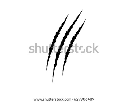 Claw Scratch,on white background.Grunge Claw Scratch.