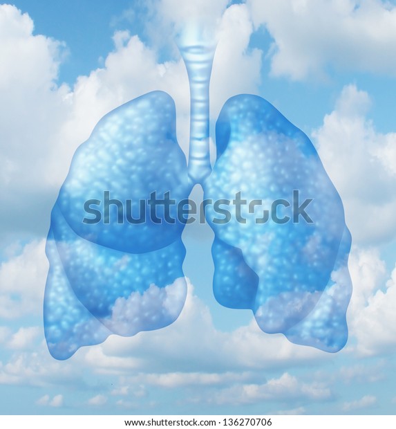 夏の空の背景に人間の肺が表す汚れのない環境での清潔な空気質のコンセプトと健康な呼吸は 健康に良い生活の象徴となる のイラスト素材