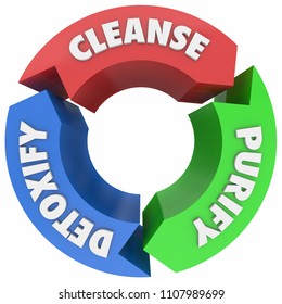 Cleanse Purify Detoxify Cycle Process Words 3d Render Illustration