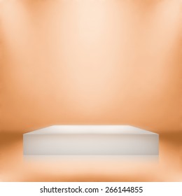Clear empty photographer studio background with stand.