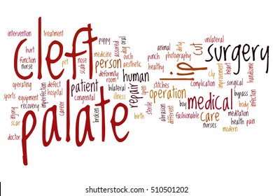 Cleft Palate Word Cloud Concept