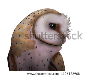 Clever barn owl