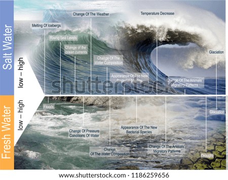 Similar – Image, Stock Photo Green sea, blue sky, clouds