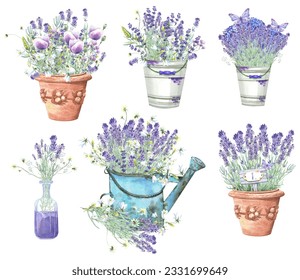 Clip art set, wild flowers, floral elements, lilac lavender, campanula in a glass vase and in vintage pots. Butterfly. Stock illustration on a white background. Hand painted in watercolor.