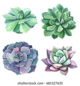 clipart Watercolor succulents 