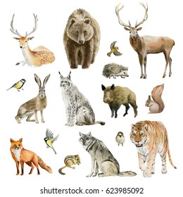 Clipboard Set Of Watercolor Hand Drawn Group Of Animal Cliparts - Birds, Predators And Preys, Grass-feeding And Rodents