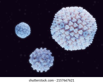 Clockwise from top left: rhinovirus, adenovirus and coxsackievirus. These viruses cause the common cold and other respiratory illnesses. PDB sources: 2rmu, 6cgv and 7vxz. 3d rendering