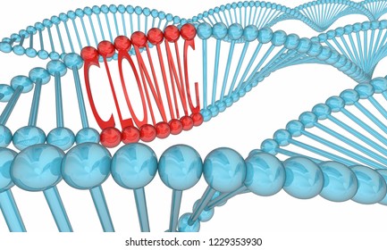 Cloning Dna Strand Biology Clone Research Stock Illustration 1229353930 ...