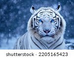 Close up of a big white tiger head. Bleached tiger of India in a snowy forest and winter background. 3D rendering. 3D Illustration