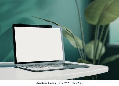 Close up of creative designer office desktop with empty white laptop screen with mock up place in frame, green wall background with sunlight and shadows, blurry decorative plant. 3D Rendering.