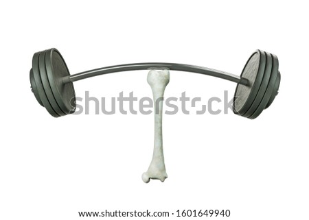 Close up of human thigh bone lifting barbells in white background. Osteoporosis world day or strong bones or awareness and Prevention or symbol of success and self-confidence concept. 3D illustration
