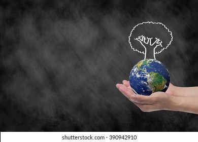 close up man hand holding world with tree draw on chalkboard background for international charity :Elements of this image furnished by NASA - Powered by Shutterstock