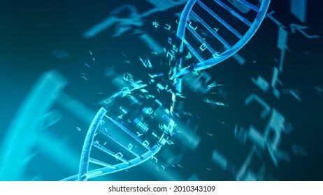 Close Up View Of A Dna Double Helix, Dna Damage With Tcga Letters Fliying Around, Concept Of Disorder Or Genetic Mutation (3d Render)