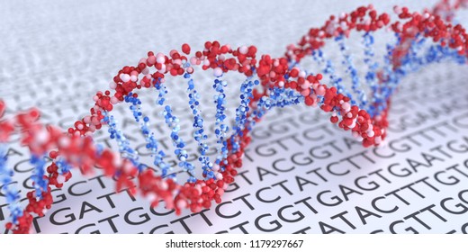 Close up view on spiral DNA molecules. 3D rendered illustration. - Shutterstock ID 1179297667