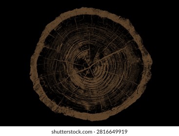 Close up view of a tree stump showing detailed growth rings and dark bark texture