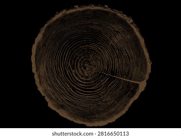 Close up view of tree stump showing detailed growth rings, brown bark texture