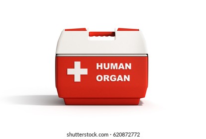 Closed Human Organ Refrigerator Box Red 3d Render On White Background