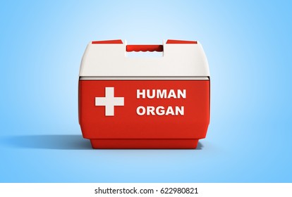 Closed Human Organ Refrigerator Box Red 3d Render On Blue Background