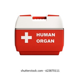 Closed Human Organ Refrigerator Box Red 3d Render No Shadow