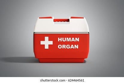 Closed Human Organ Refrigerator Box Red 3d Render On Grey Background