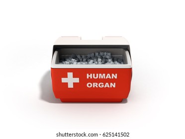 Closed Human Organ Refrigerator Box Red 3d Render On White Background