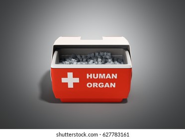 Closed Human Organ Refrigerator Box Red 3d Render On Grey Background