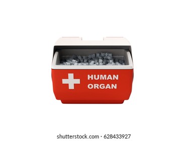 Closed Human Organ Refrigerator Box Red 3d Render No Shadow