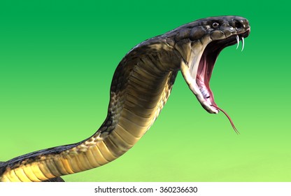 Close-Up Of 3d King cobra snake attack isolated on green background