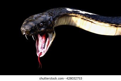 Close-Up Of 3d King Cobra Snake Attack Isolated On Black Background, Cobra Snake