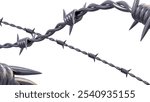 A close-up of barbed wire on a white background.