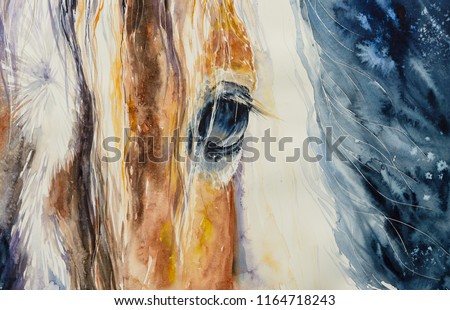Close-up of a beautiful horses eye.Picture created with watercolors.