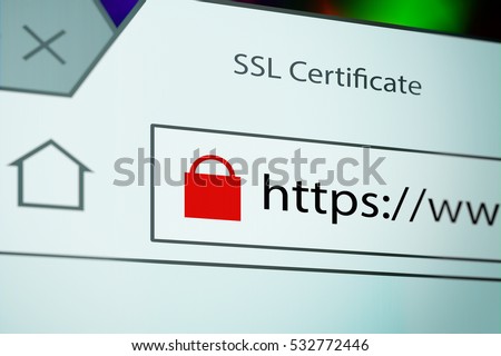 Close-up of a browser window showing lock icon during SSL connection
