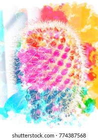 Closeup Cactus With Colorful Painting Abstract In Pink Orange Blue