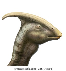 Close-up of Parasaurolophus